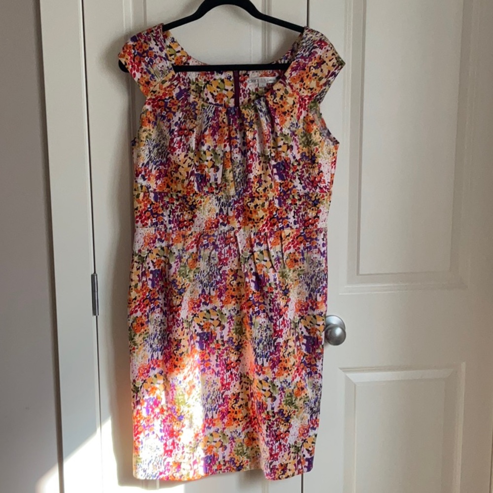 CleoCleo Petite NWT dress
